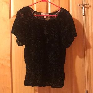 Black velvet top